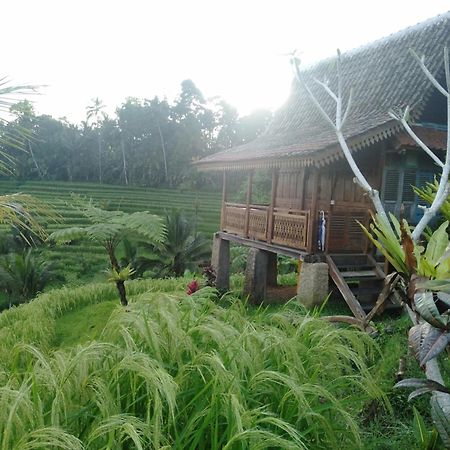 D'Ume Bendoel Homestay ジャティルウィ エクステリア 写真