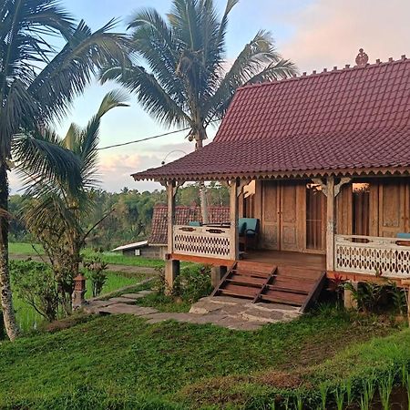 D'Ume Bendoel Homestay ジャティルウィ エクステリア 写真