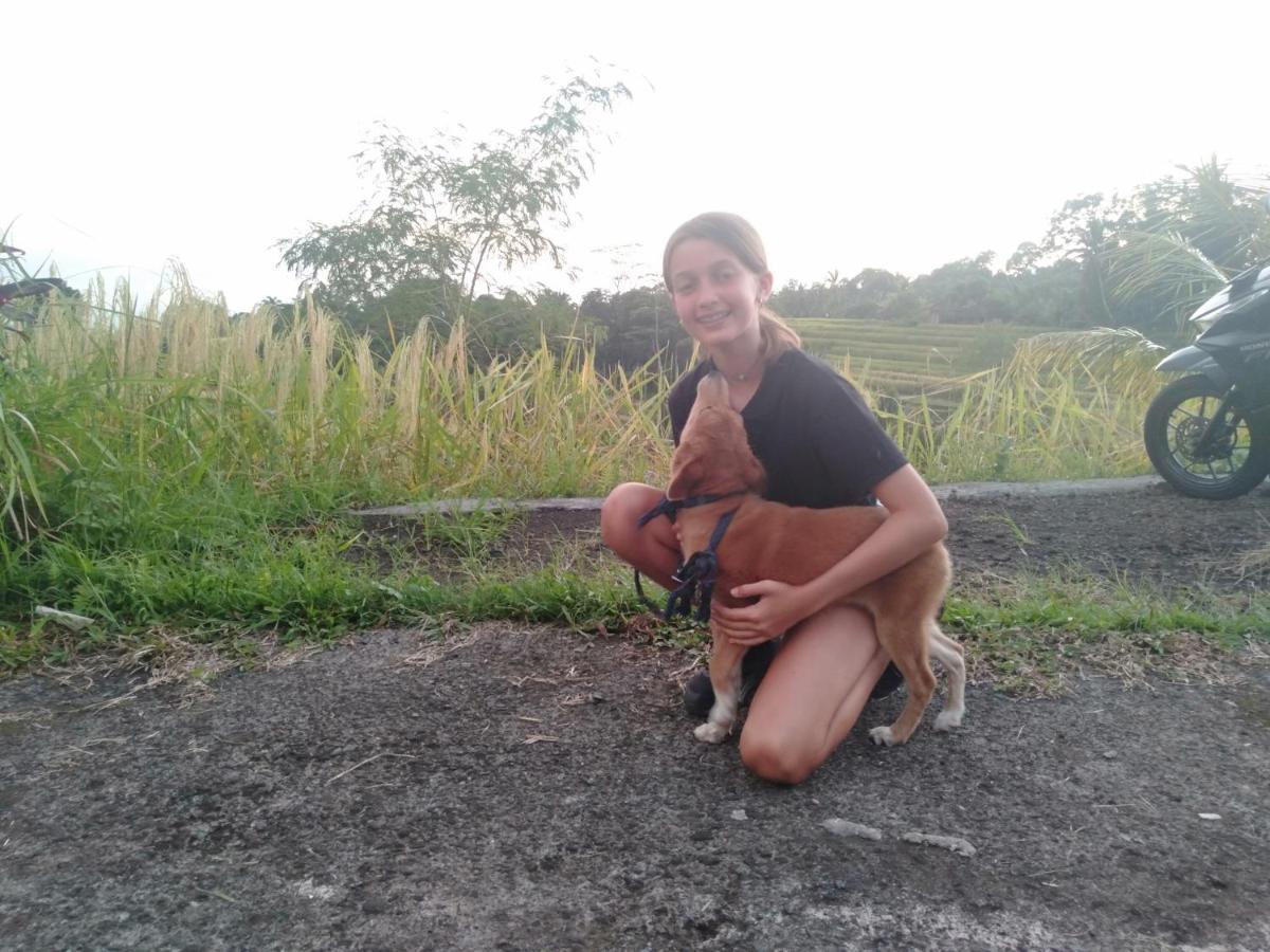D'Ume Bendoel Homestay ジャティルウィ エクステリア 写真