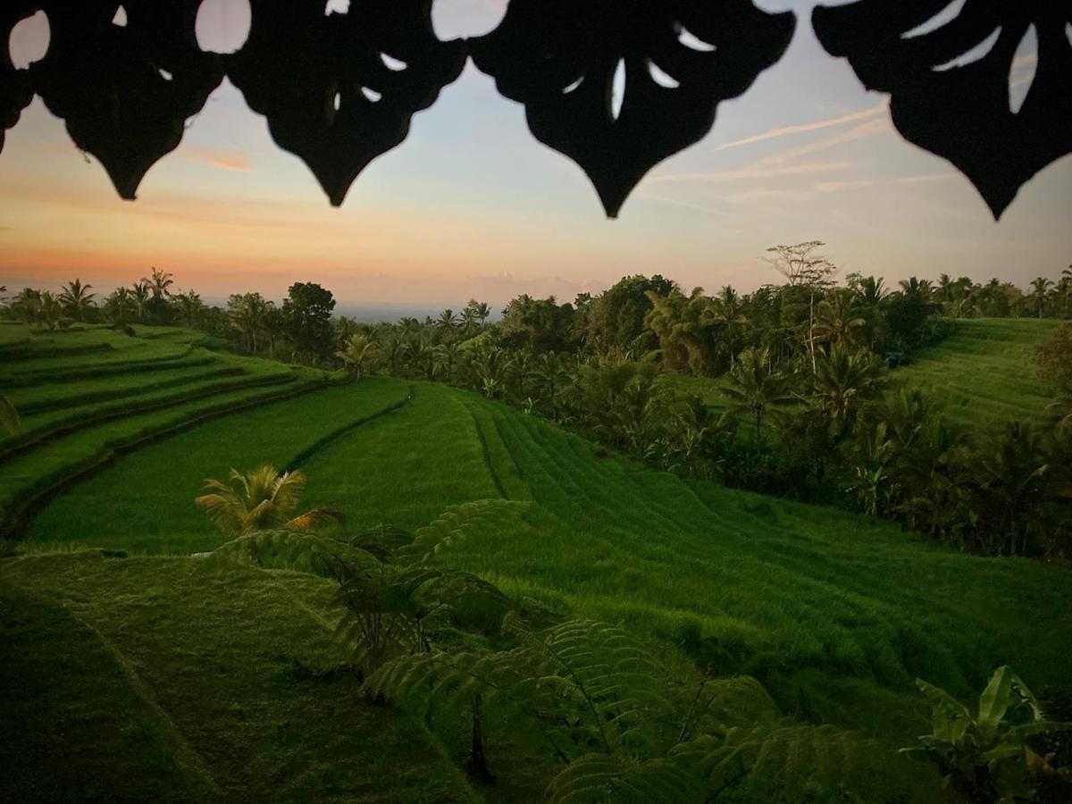D'Ume Bendoel Homestay ジャティルウィ エクステリア 写真