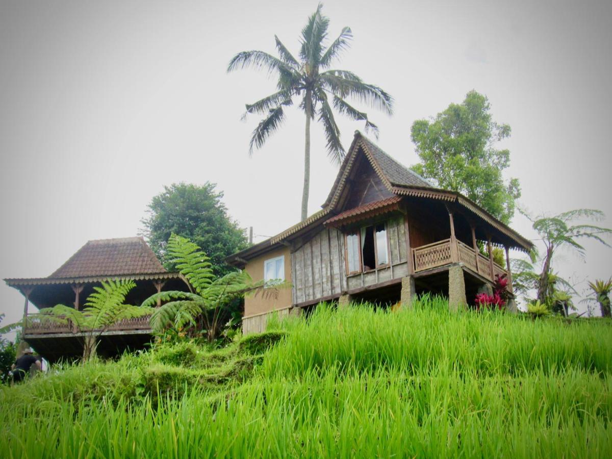 D'Ume Bendoel Homestay ジャティルウィ エクステリア 写真