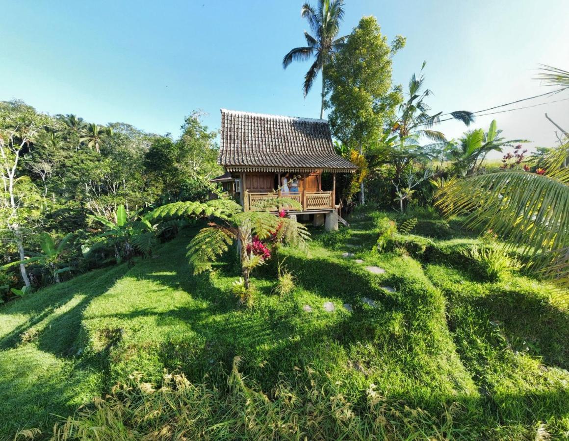 D'Ume Bendoel Homestay ジャティルウィ エクステリア 写真