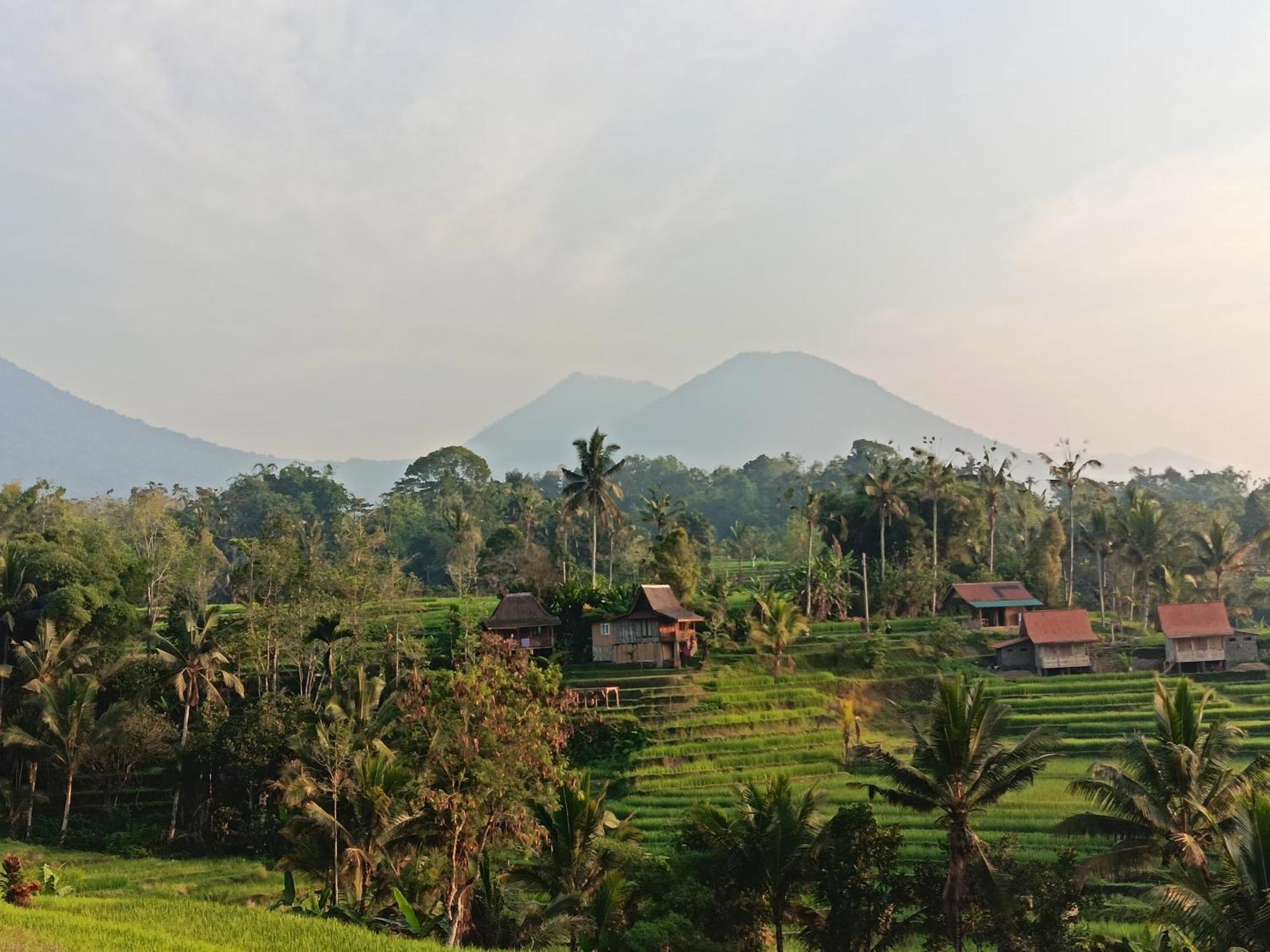 D'Ume Bendoel Homestay ジャティルウィ エクステリア 写真