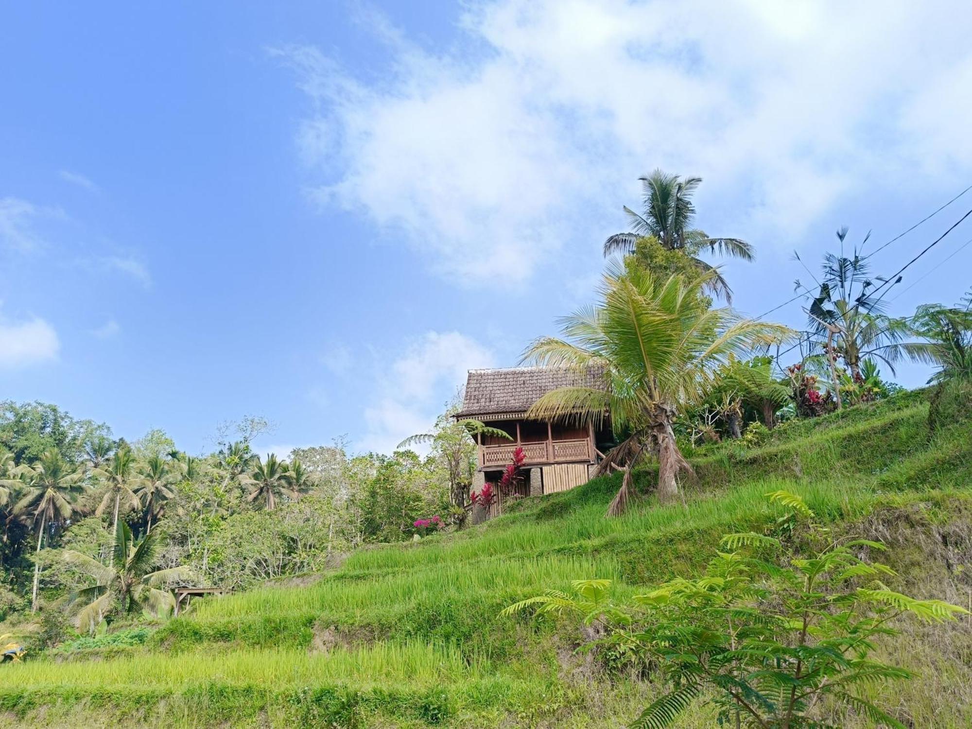 D'Ume Bendoel Homestay ジャティルウィ エクステリア 写真