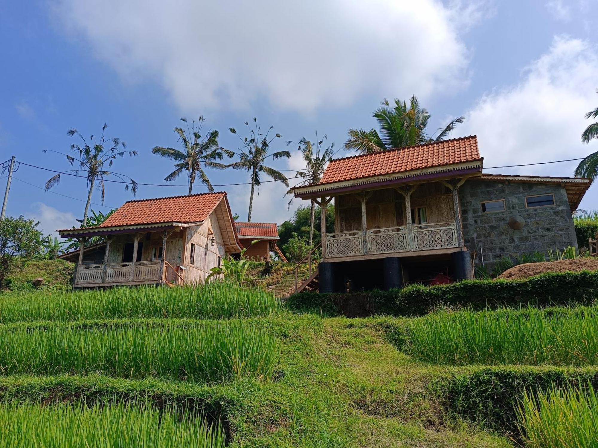 D'Ume Bendoel Homestay ジャティルウィ エクステリア 写真
