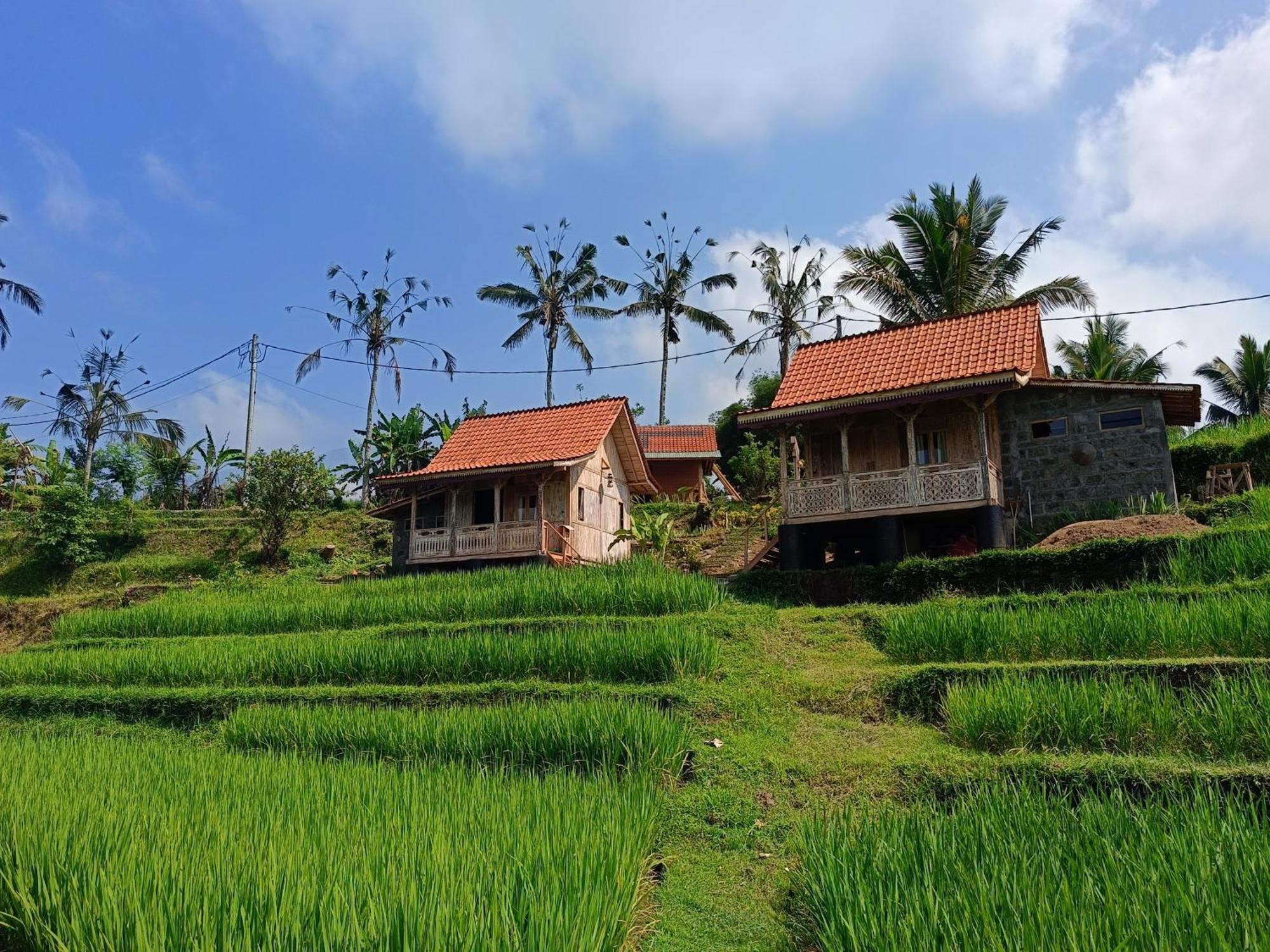 D'Ume Bendoel Homestay ジャティルウィ エクステリア 写真