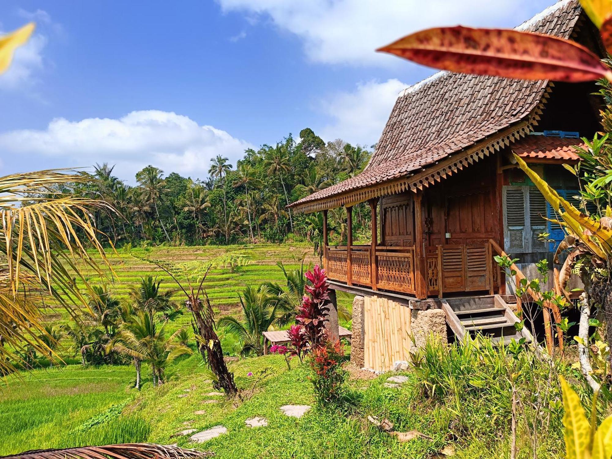 D'Ume Bendoel Homestay ジャティルウィ エクステリア 写真