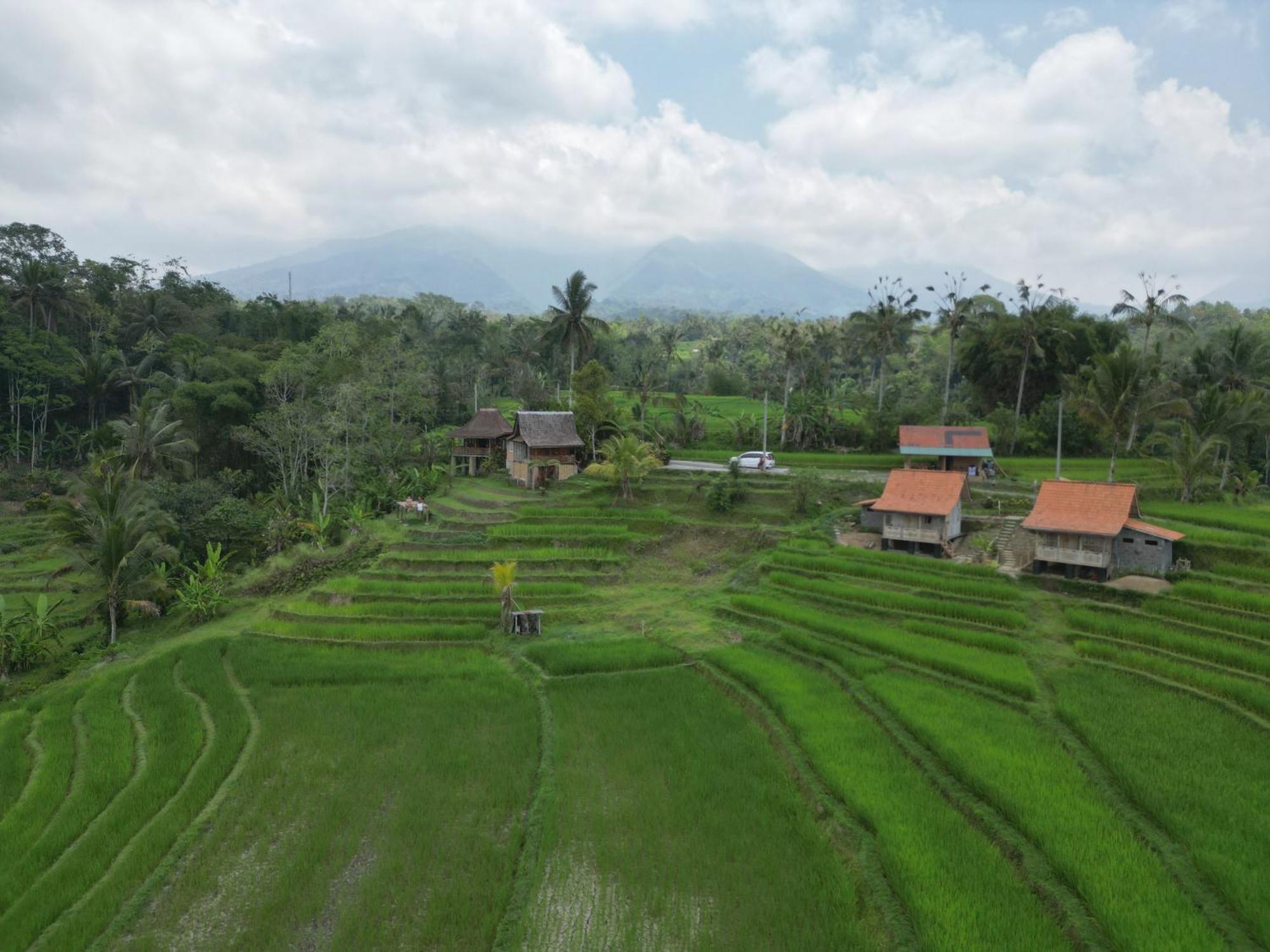 D'Ume Bendoel Homestay ジャティルウィ 部屋 写真