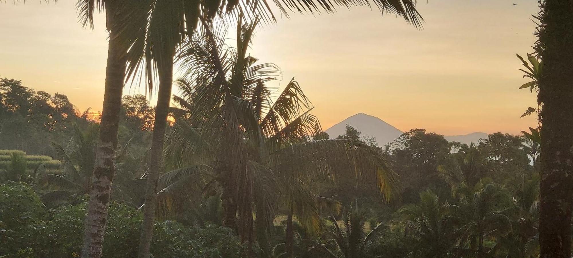 D'Ume Bendoel Homestay ジャティルウィ エクステリア 写真