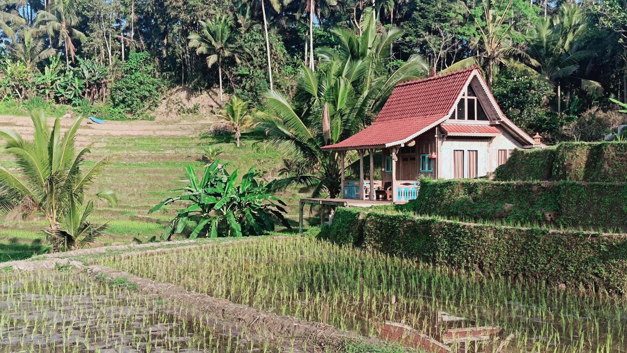 D'Ume Bendoel Homestay ジャティルウィ 部屋 写真