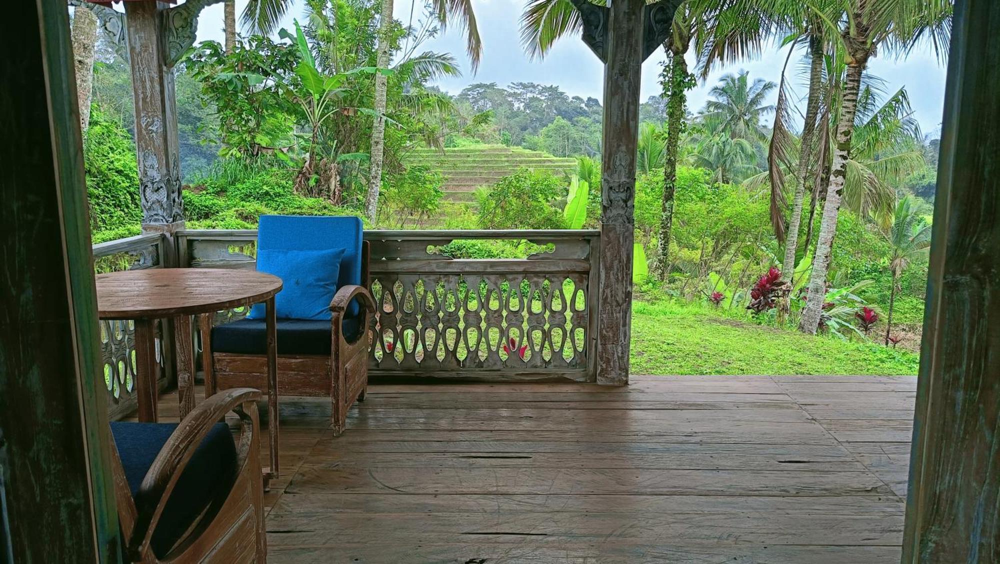 D'Ume Bendoel Homestay ジャティルウィ エクステリア 写真