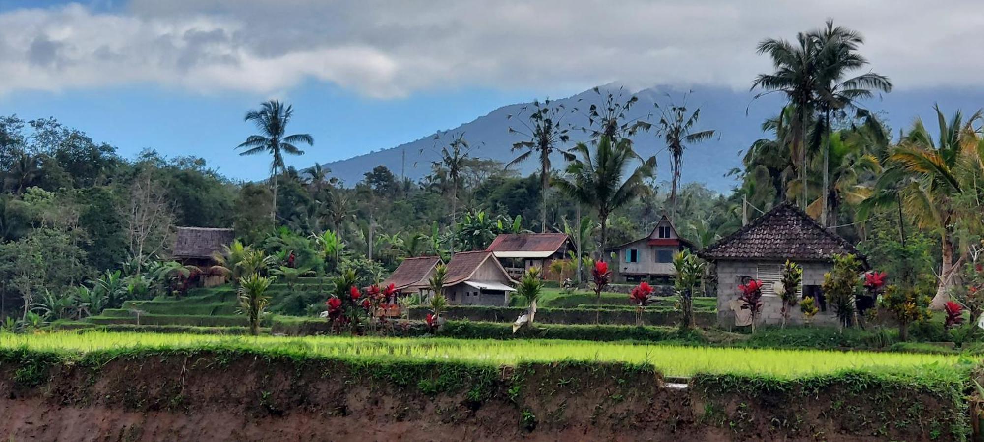 D'Ume Bendoel Homestay ジャティルウィ エクステリア 写真
