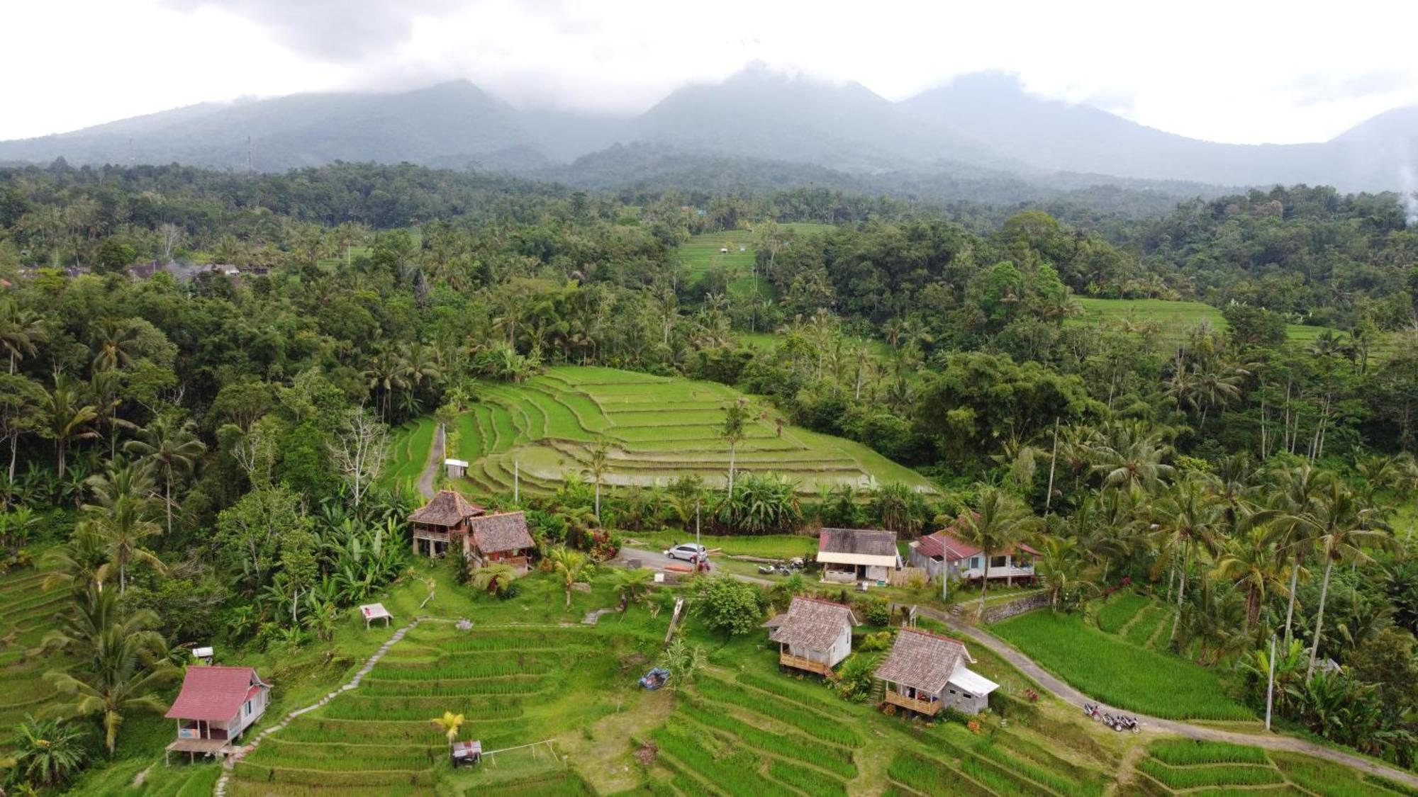 D'Ume Bendoel Homestay ジャティルウィ 部屋 写真