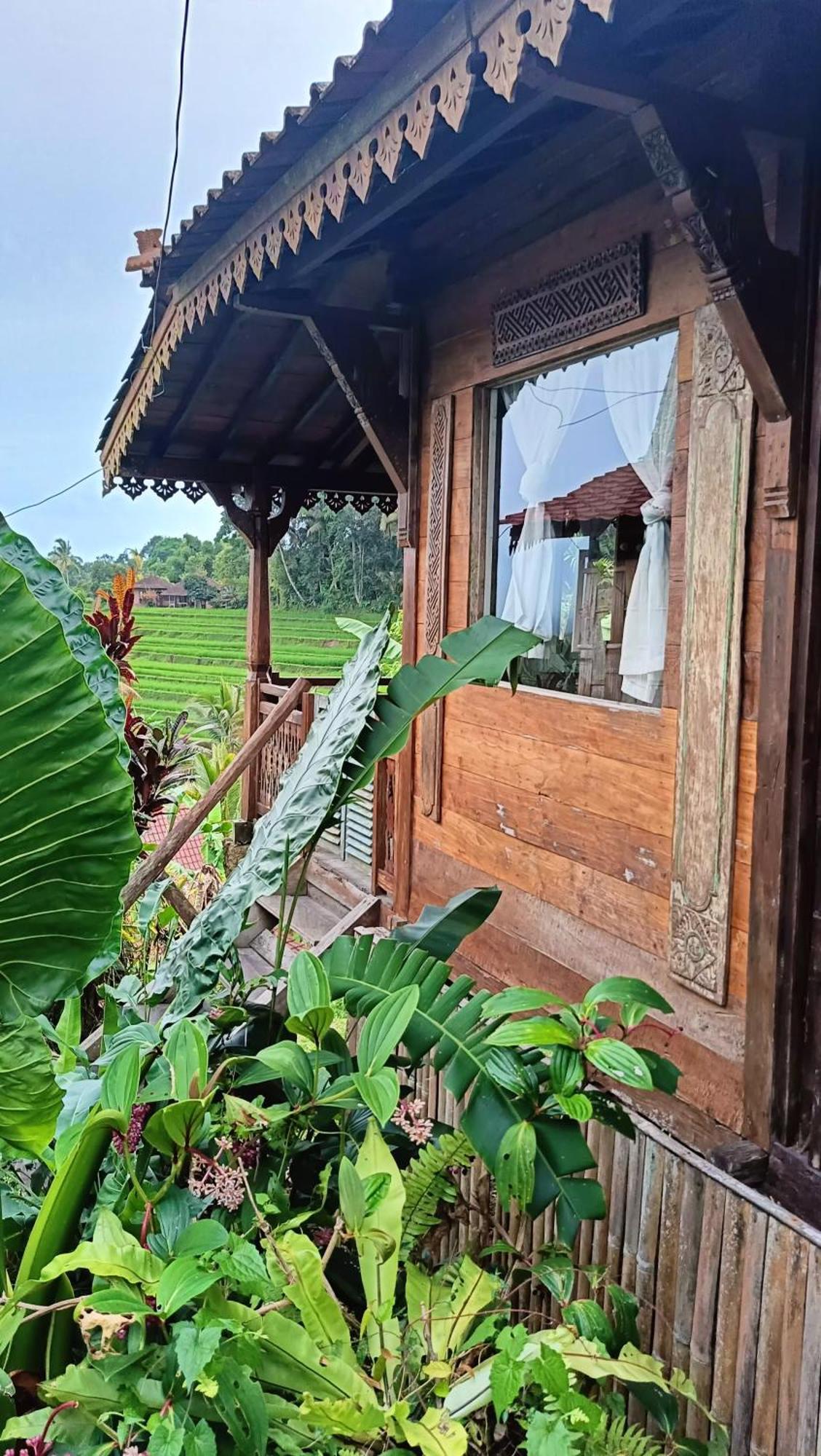 D'Ume Bendoel Homestay ジャティルウィ エクステリア 写真